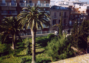 Foto giardino scuola Musti
